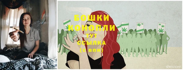 шишки Алексеевка